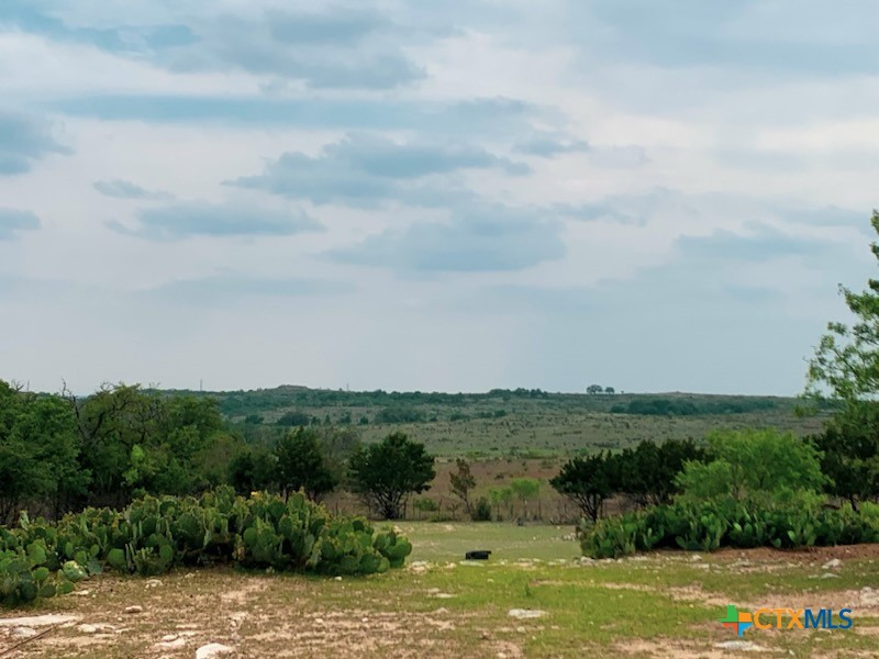 880 County Road 3100 Kempner, TX 76539 - Photo 29 of 33 an aerial view of a houses covered in trees