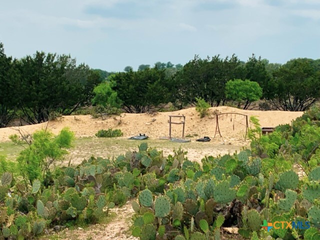 880 County Road 3100 Kempner, TX 76539 - Photo 31 of 33 a view of a yard with some trees