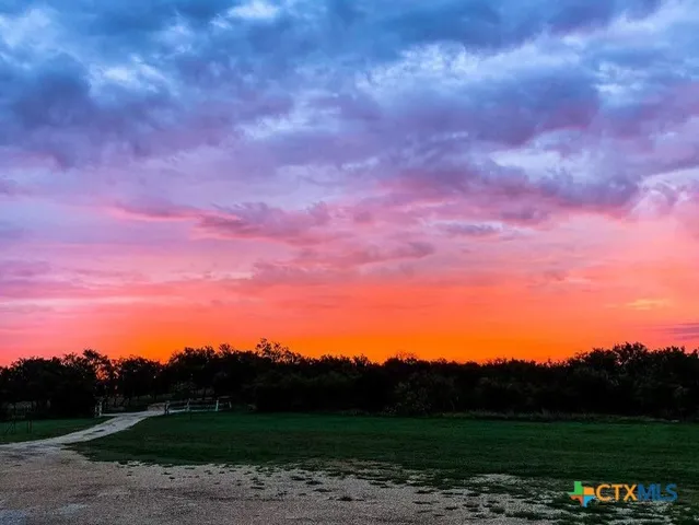 a view of a yard with a tree