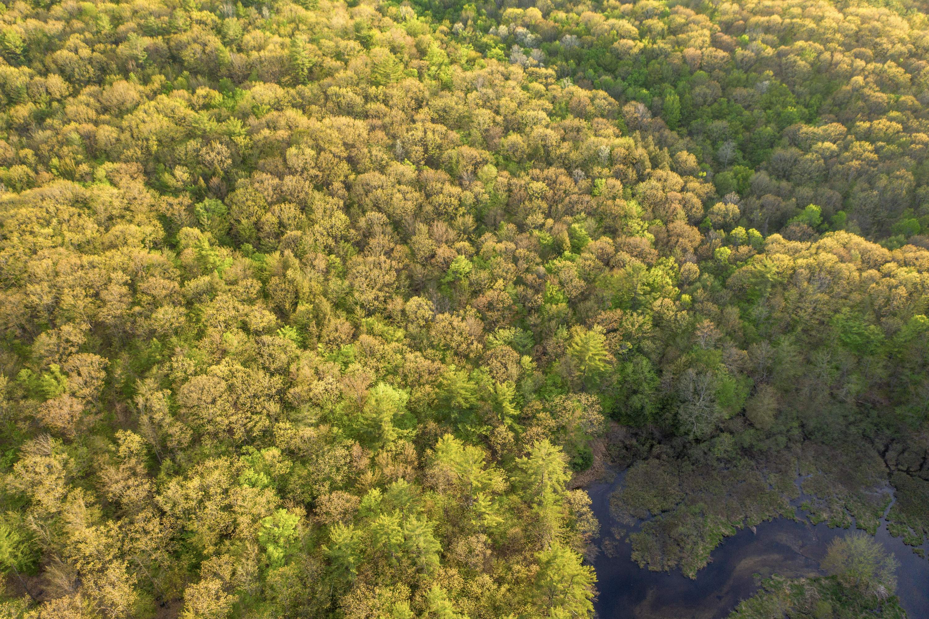 0 Lessard Drive Turner, ME 04282 - Photo 12 of 16 Aerial View 5