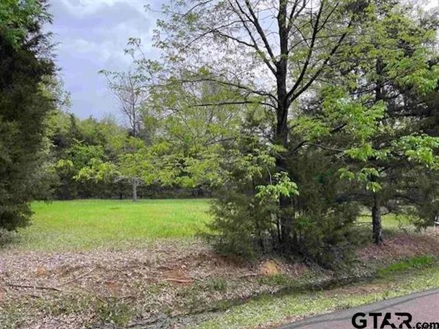 a view of a garden with a fountain