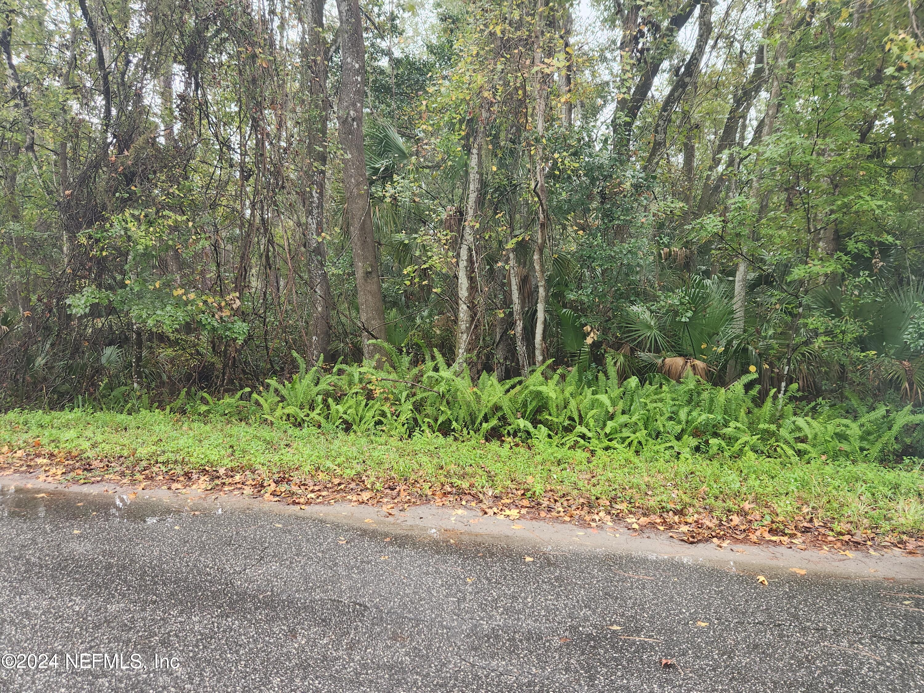 0 Parker Road Crescent City, FL 32112 - Photo 11 of 25 20231116_105456