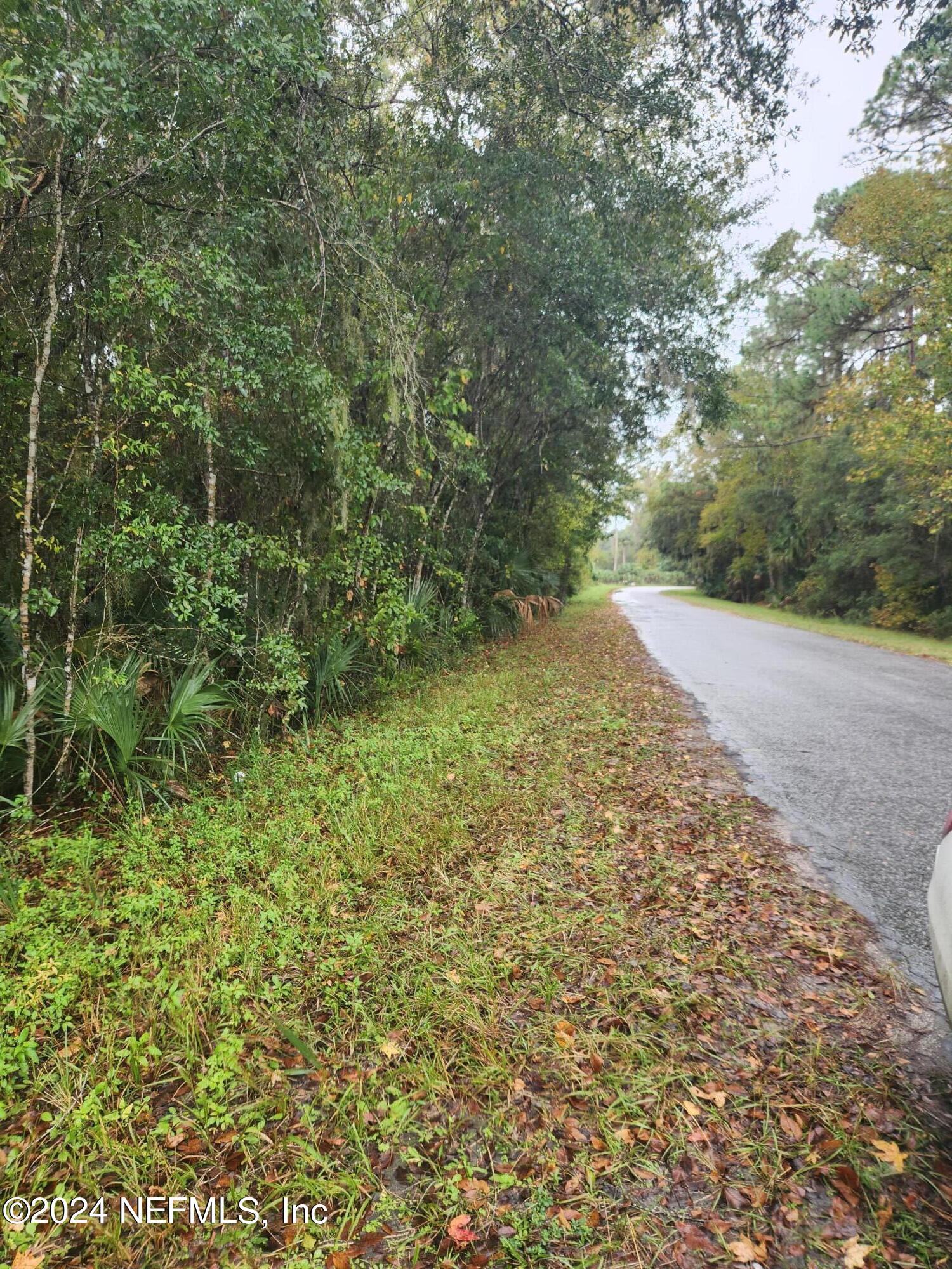0 Parker Road Crescent City, FL 32112 - Photo 16 of 25 20231116_105621