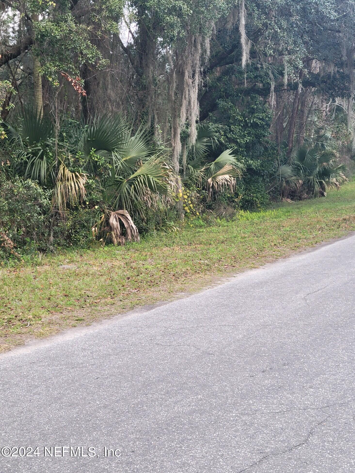 0 Parker Road Crescent City, FL 32112 - Photo 17 of 25 37229