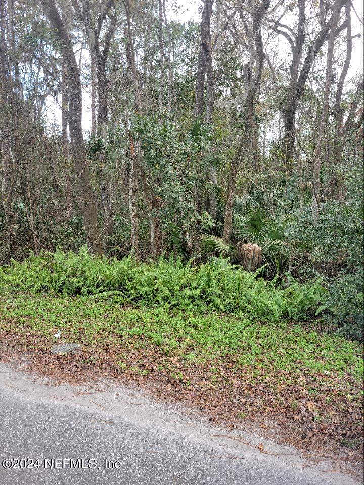 0 Parker Road Crescent City, FL 32112 - Photo 18 of 25 37224