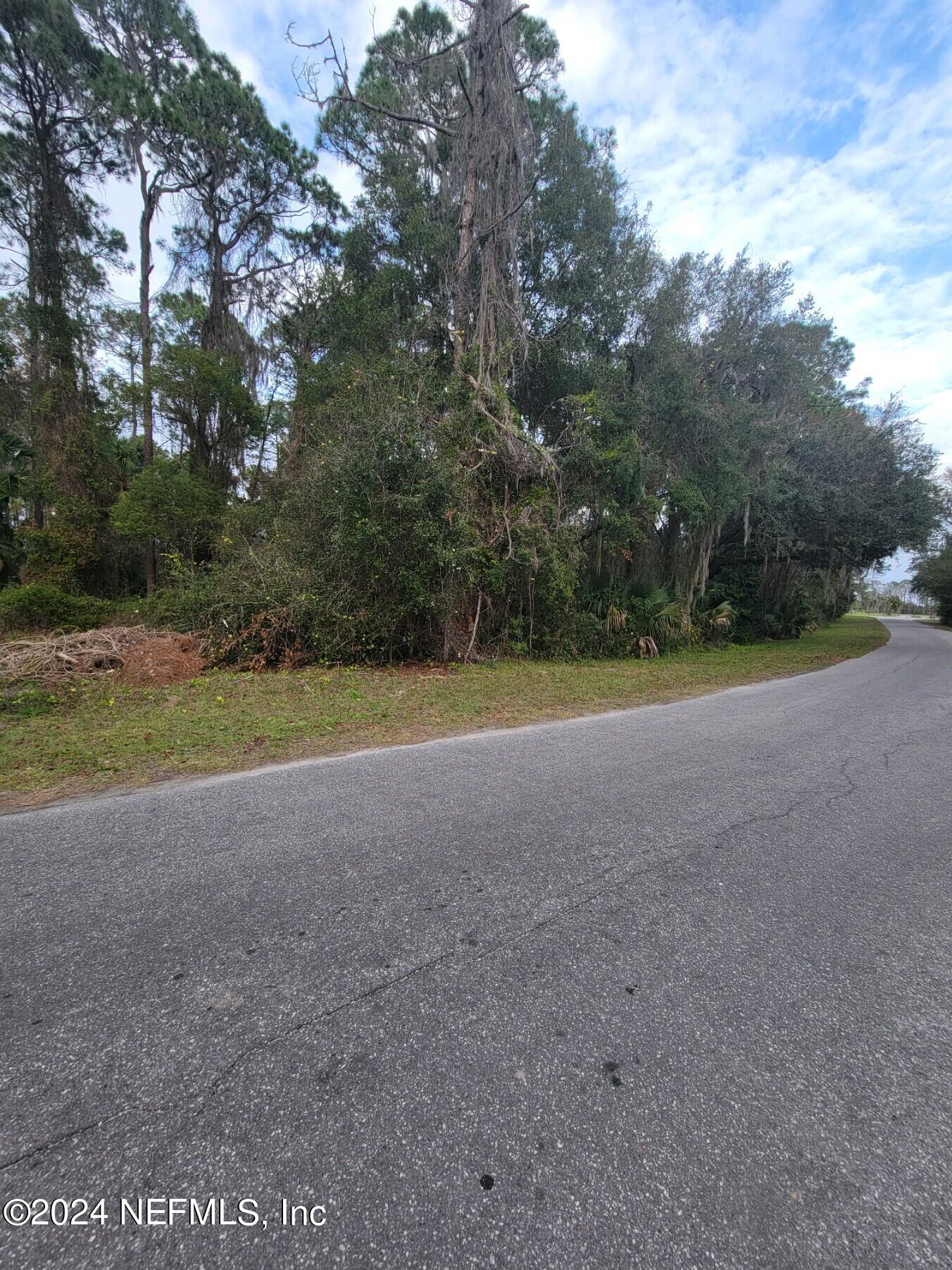 0 Parker Road Crescent City, FL 32112 - Photo 19 of 25 37230