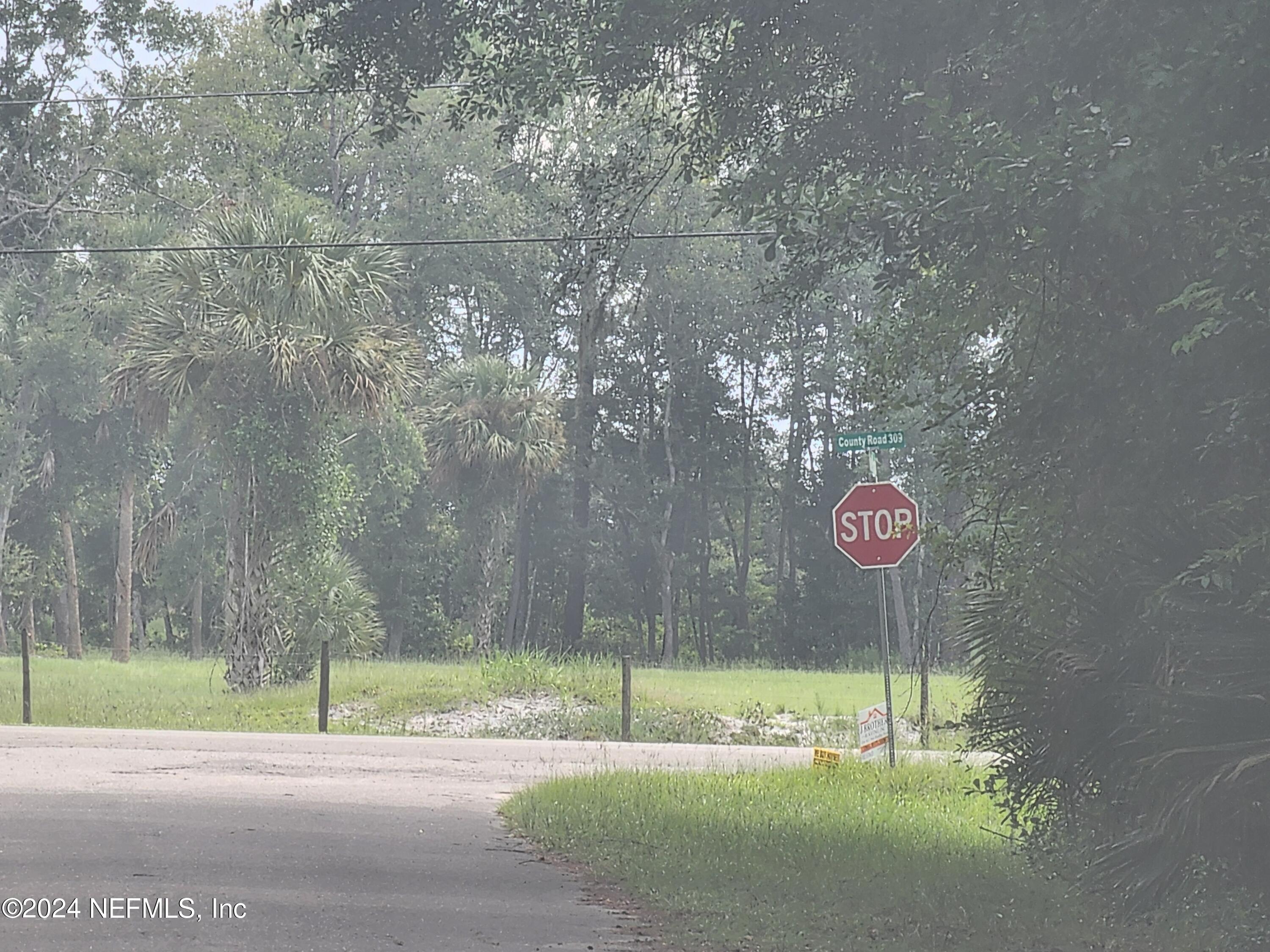 0 Parker Road Crescent City, FL 32112 - Photo 2 of 25 20240819_115816