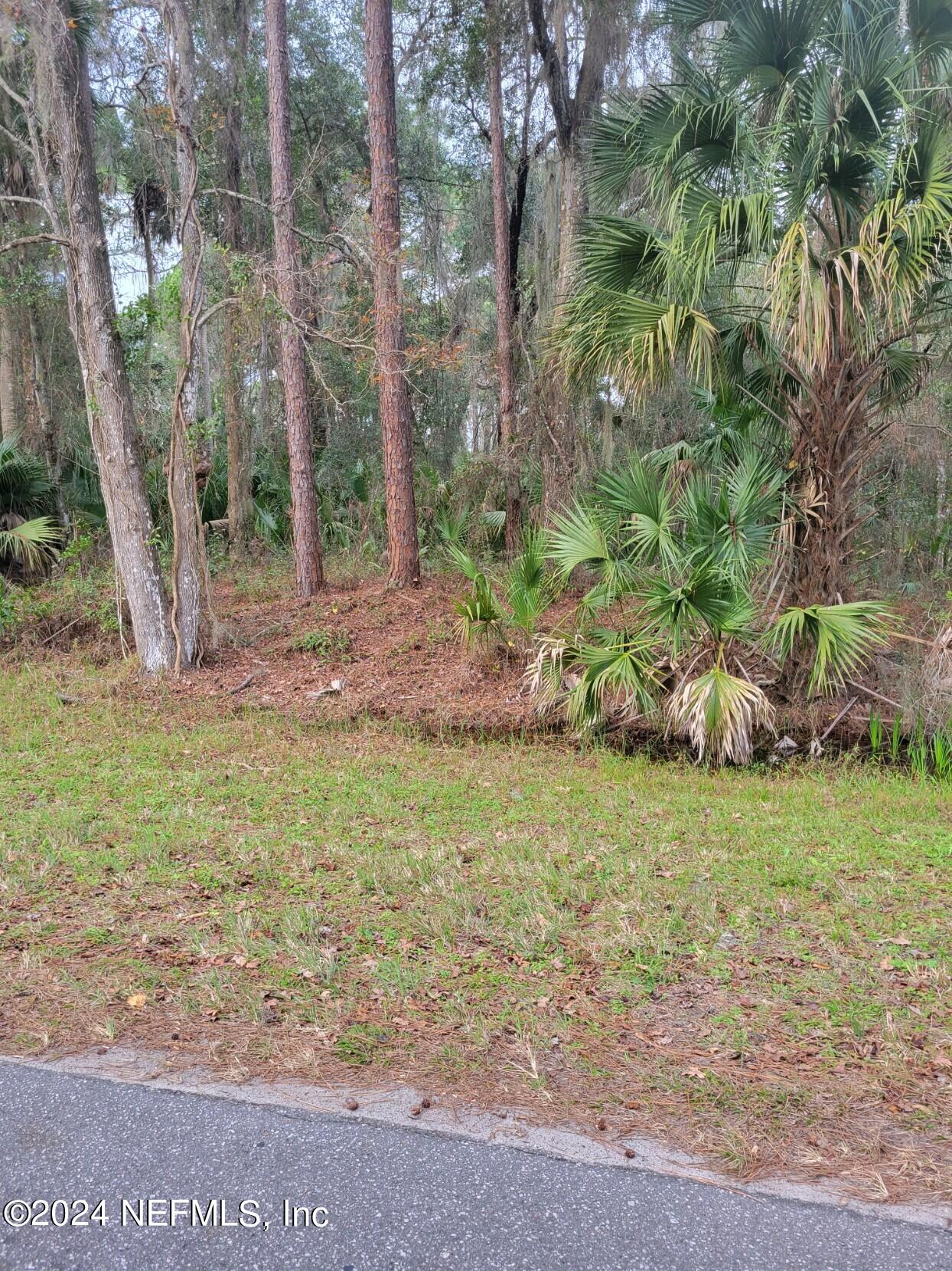 0 Parker Road Crescent City, FL 32112 - Photo 21 of 25 37222