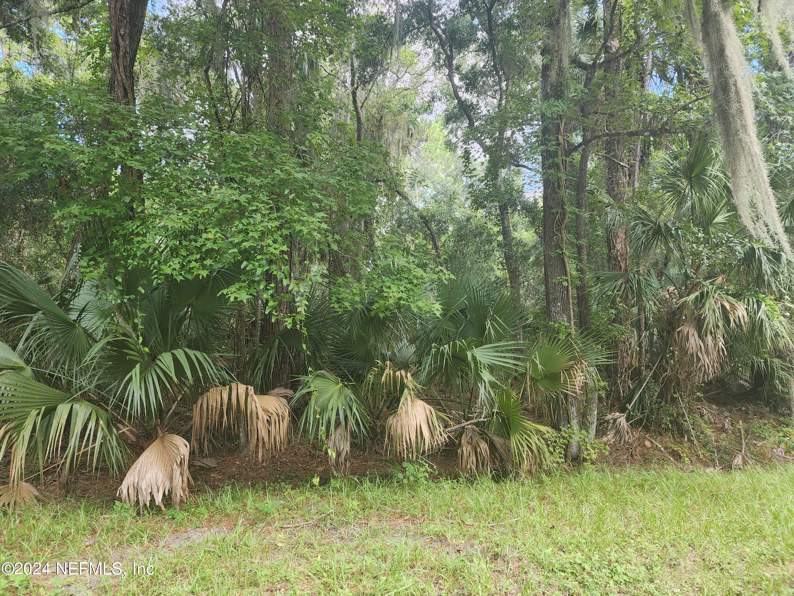 0 Parker Road Crescent City, FL 32112 - Photo 25 of 25 20240819_120030