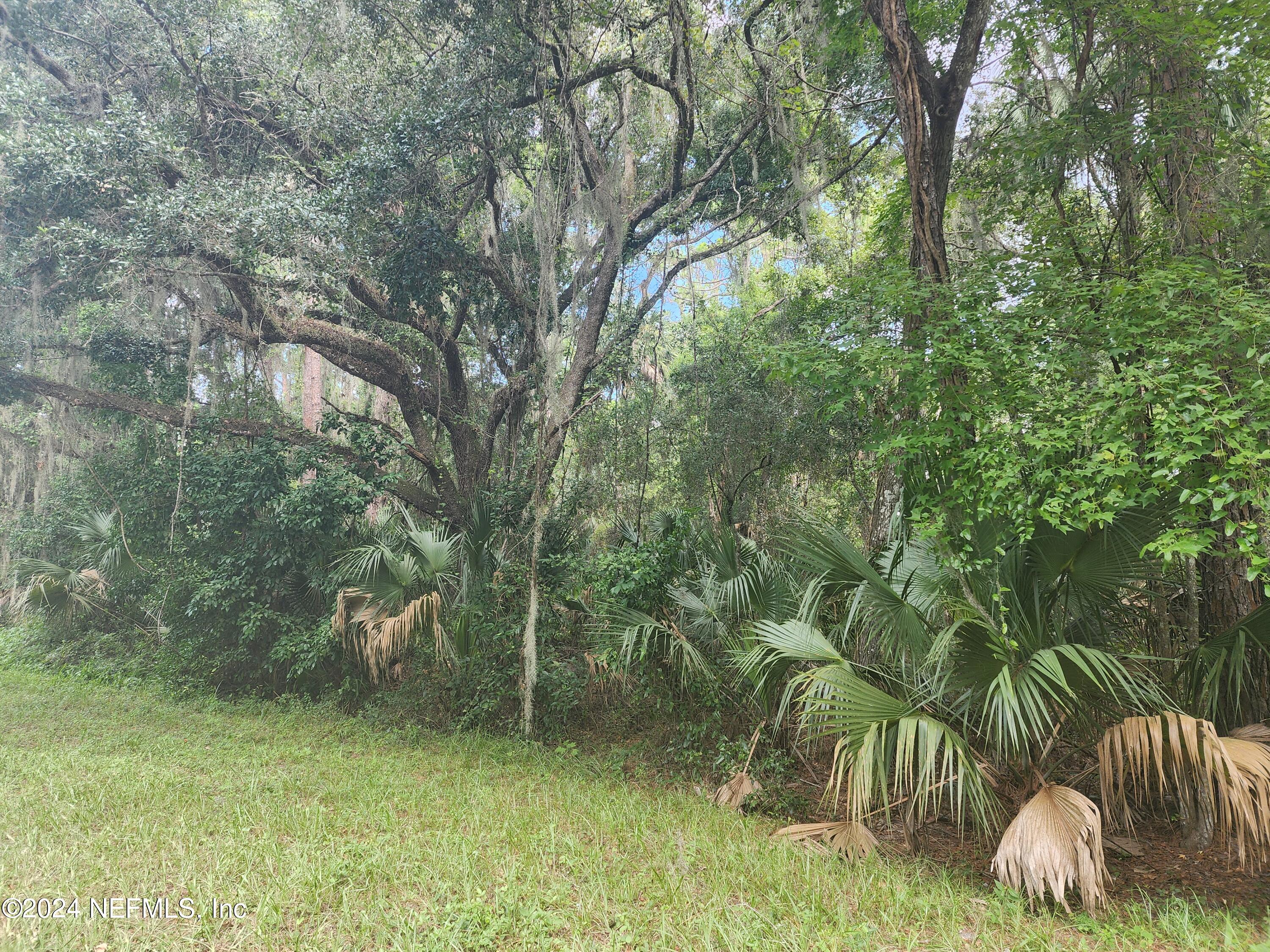 0 Parker Road Crescent City, FL 32112 - Photo 7 of 25 20240819_120025