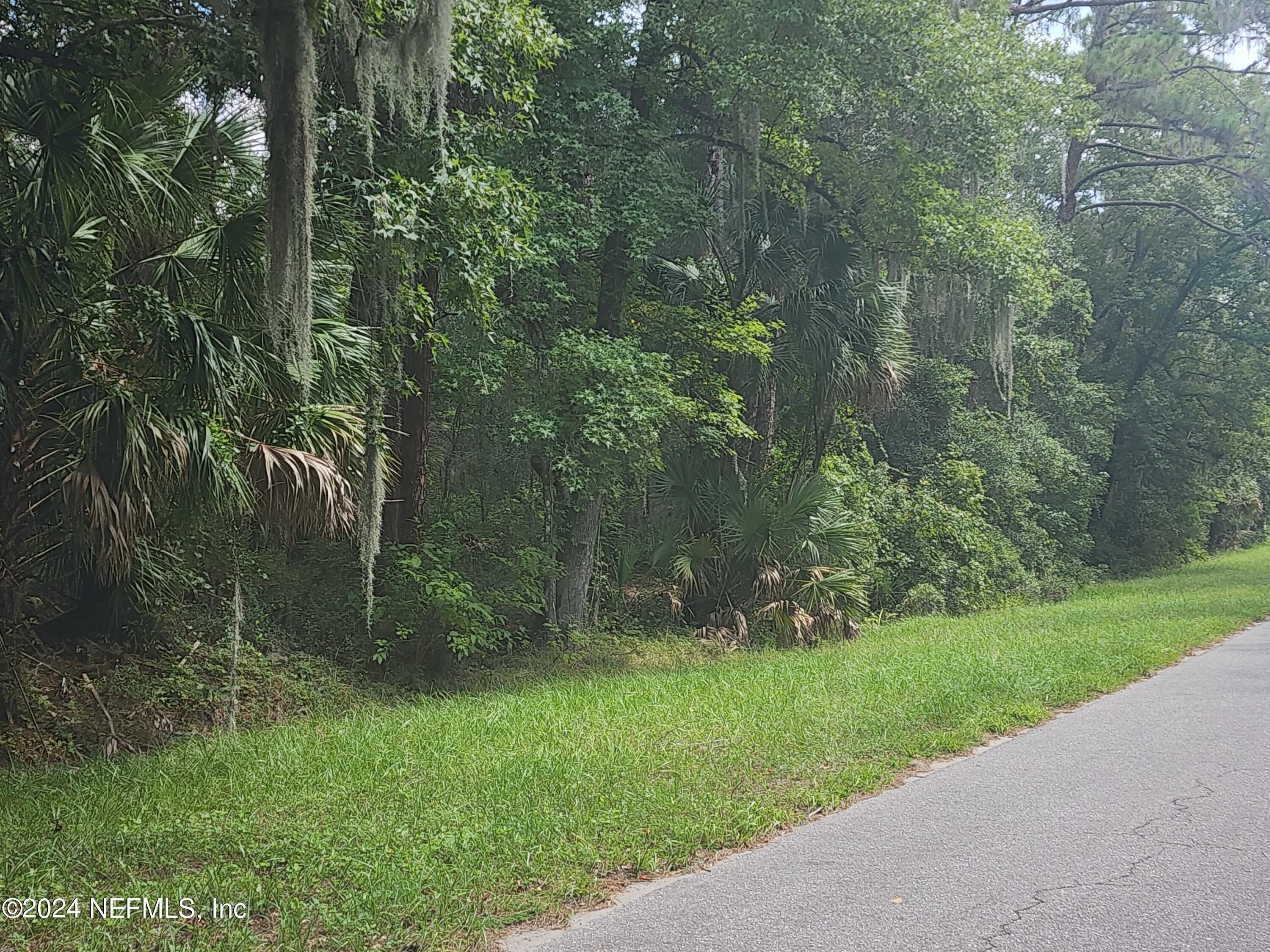 0 Parker Road Crescent City, FL 32112 - Photo 8 of 25 20240819_115823