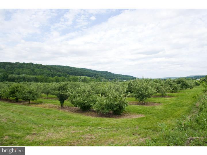 0 Leithsville Road Hellertown, PA 18055 - Photo 14 of 15 Gallery Image 14