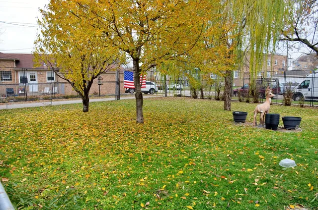 a backyard of a house with lots of green space