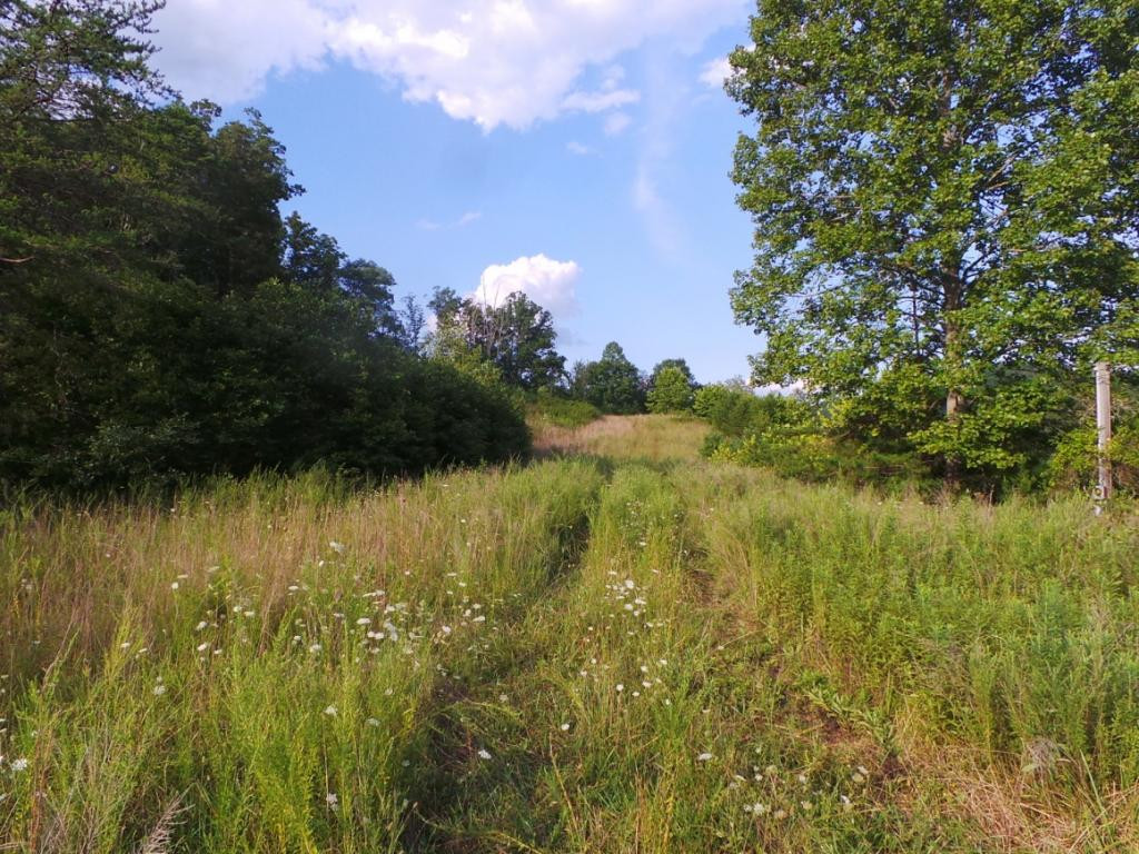 0 High Rock Road Rogersville, TN 37857 - Photo 2 of 20 Photo 2