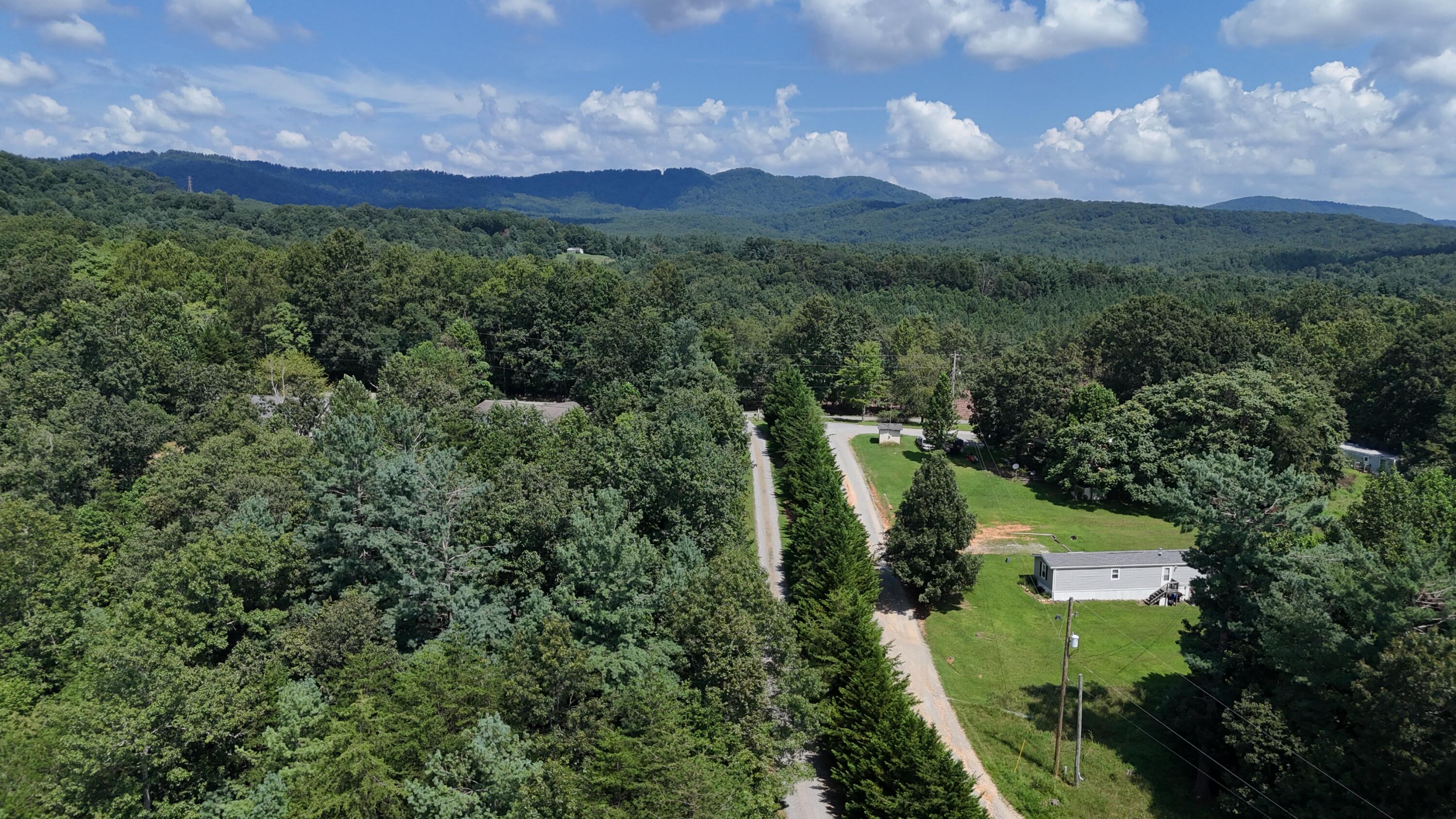 460 White Oak Road Boones Mill, VA 24065 - Photo 43 of 45 an aerial view of a house with a yard