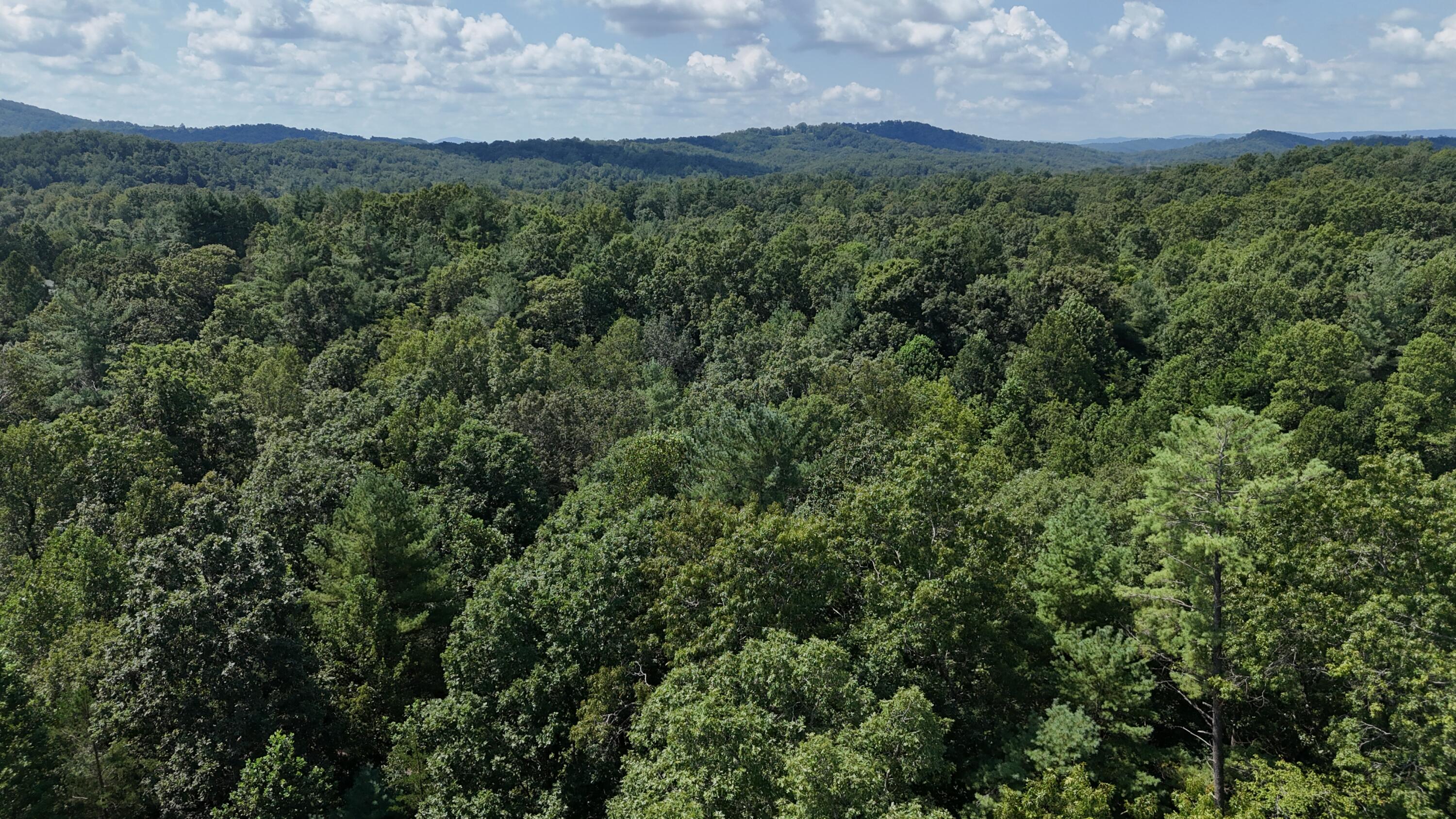 460 White Oak Road Boones Mill, VA 24065 - Photo 44 of 45 a view of a lush green hillside and a mountain