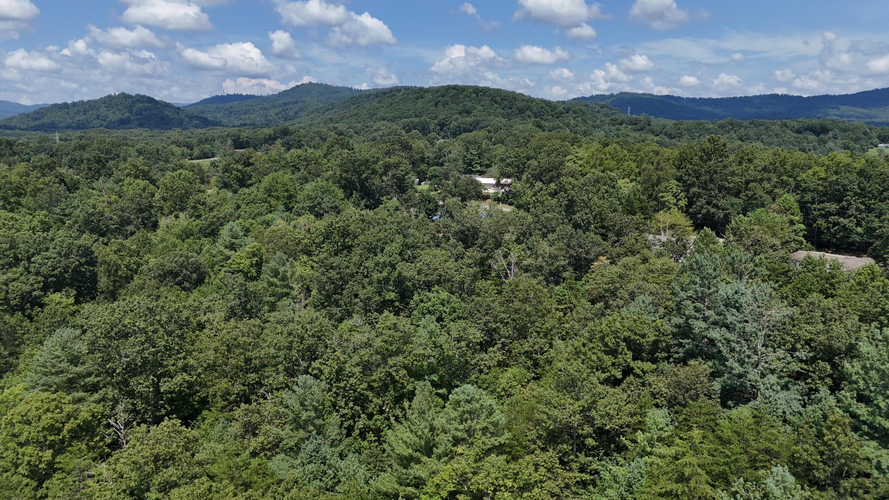 460 White Oak Road Boones Mill, VA 24065 - Photo 45 of 45 a view of a city with lush green forest