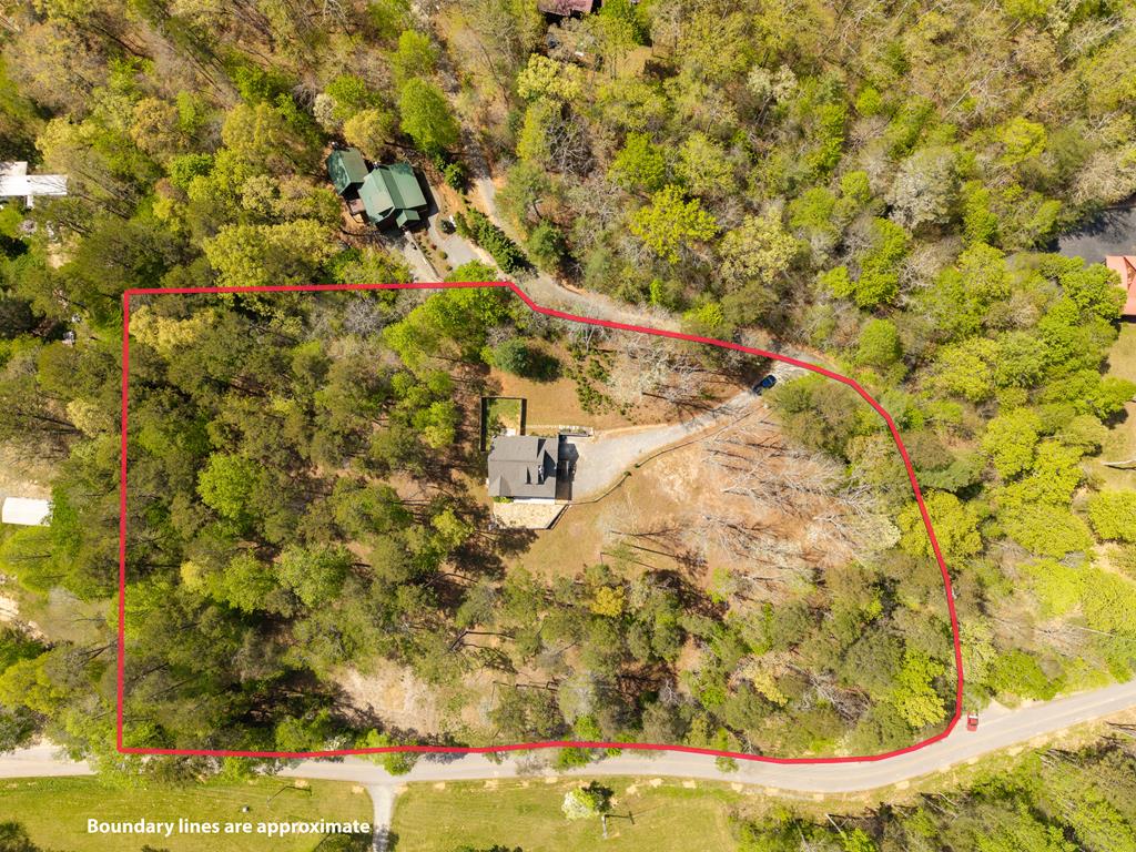 61 Overlook Road Blue Ridge, GA 30513 - Photo 45 of 57