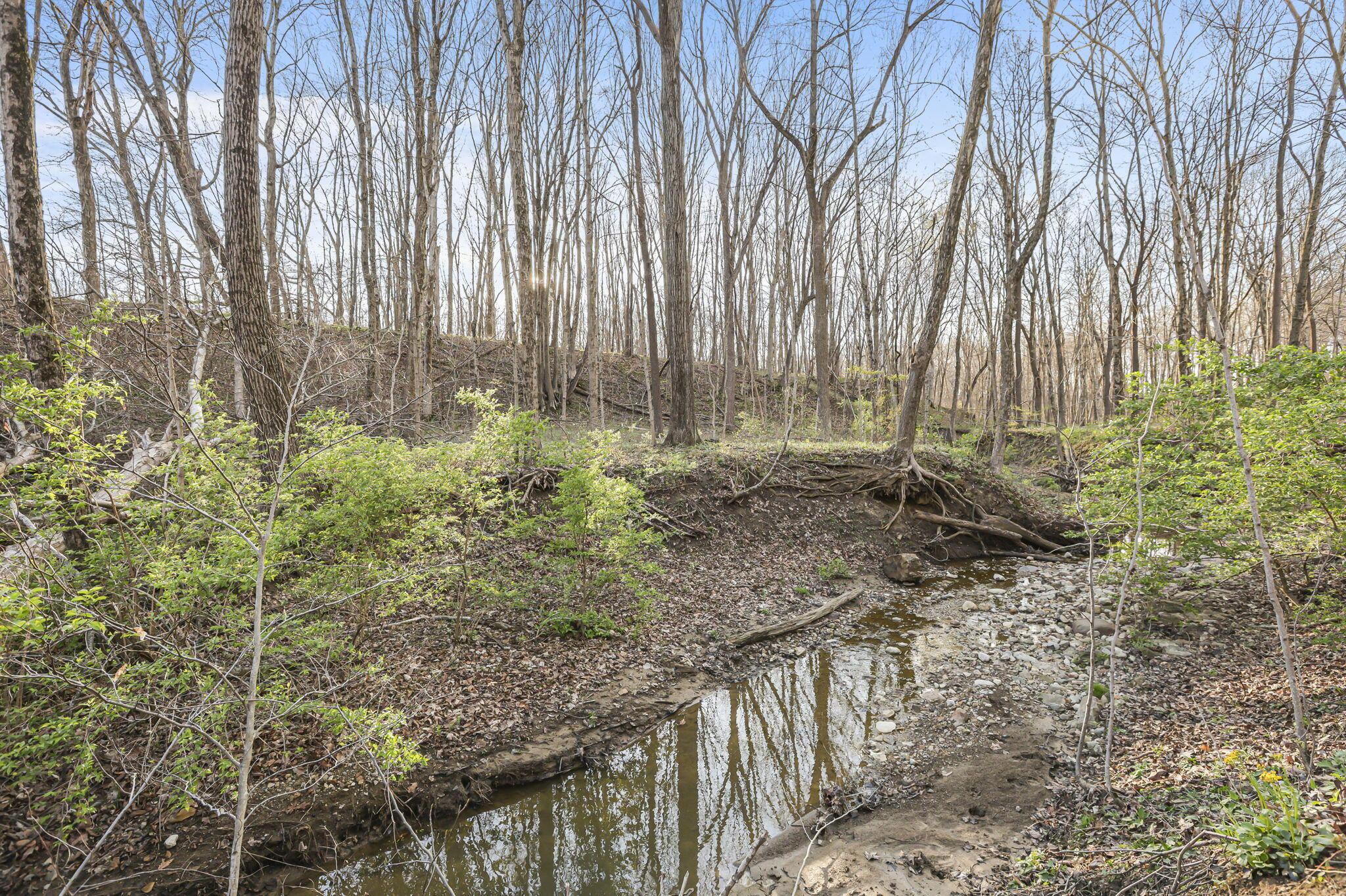 6164 Heigle Road Southwest Amanda, OH 43102 - Photo 12 of 43 4-web-or-mls-939A0128