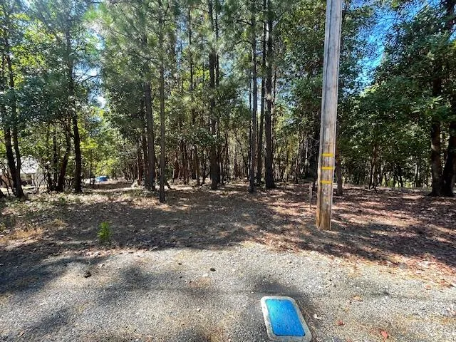 a view of outdoor space with trees