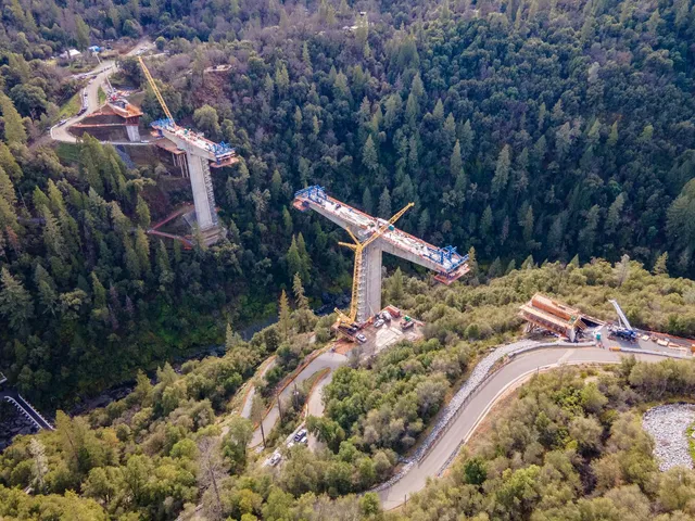 a view of a forest with a forest