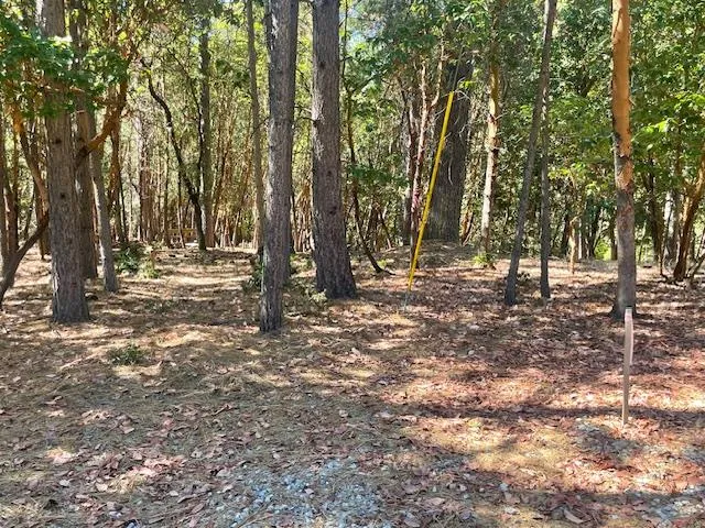 a view of outdoor space with trees