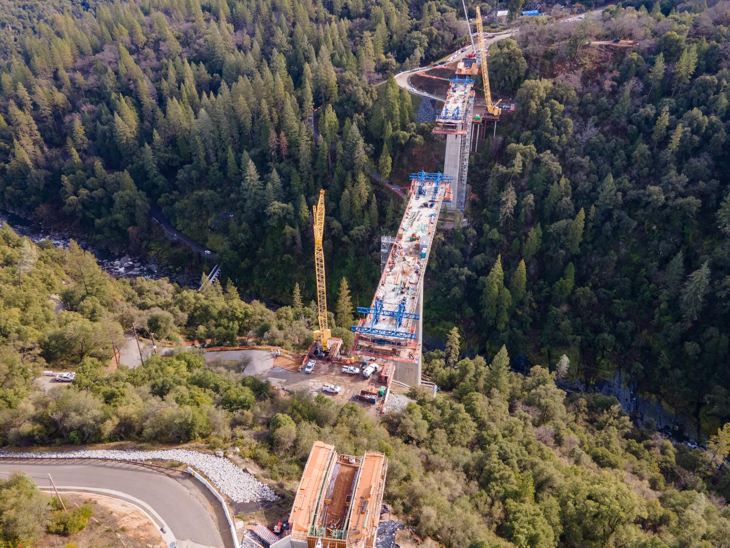 3191 Pine Cone Court Placerville, CA 95667 - Photo 36 of 37 a view of a yard with a tree