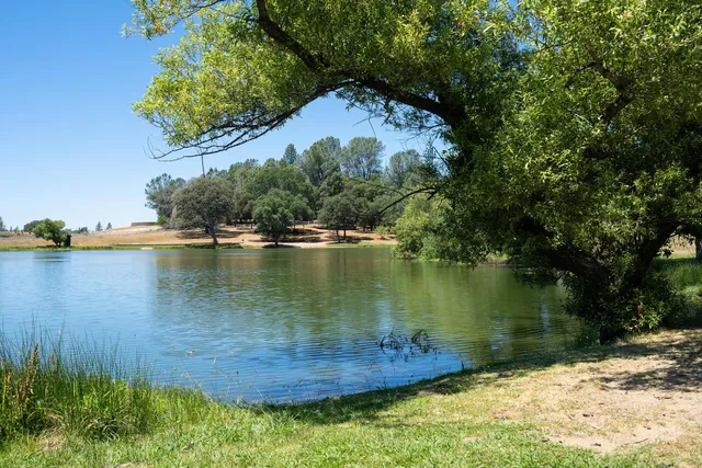 a view of a lake with houses in the background