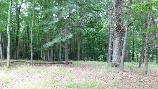 1554 Union Church Road Ferrum, VA 24088 - Photo 17 of 33 Gallery Image 17