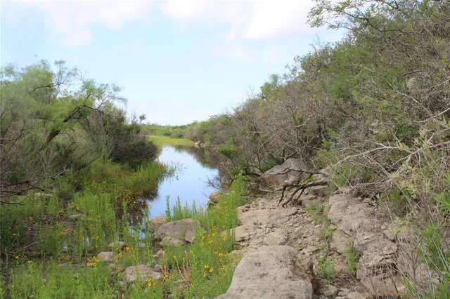 a view of a lake from a yard