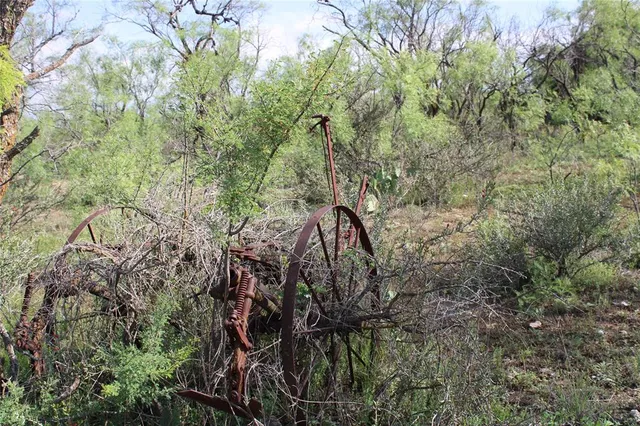 a view of a field of grass and trees