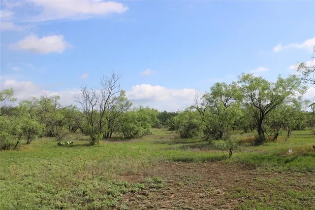 a view of a field with an ocean