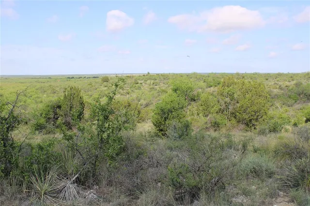 a view of a green field