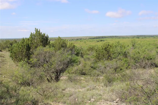 $762,615 | 0 Fm 1929, Rowena, TX 76875