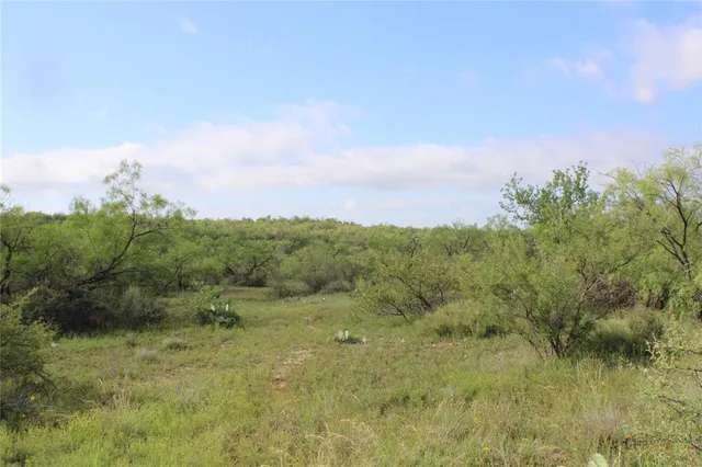 a view of a field with an trees