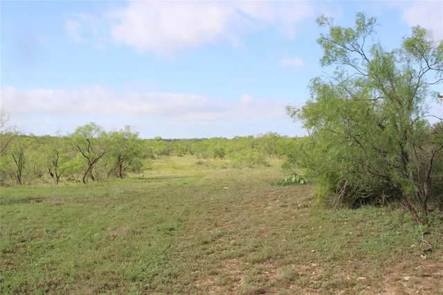 a view of a field of grass and trees
