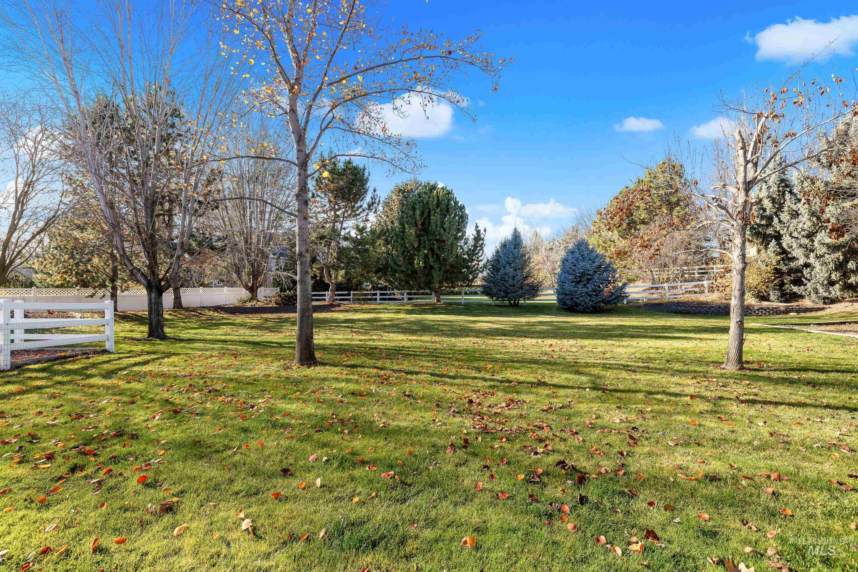 1197 North Cove Colony Way Eagle, ID 83616 - Photo 2 of 50 View of yard