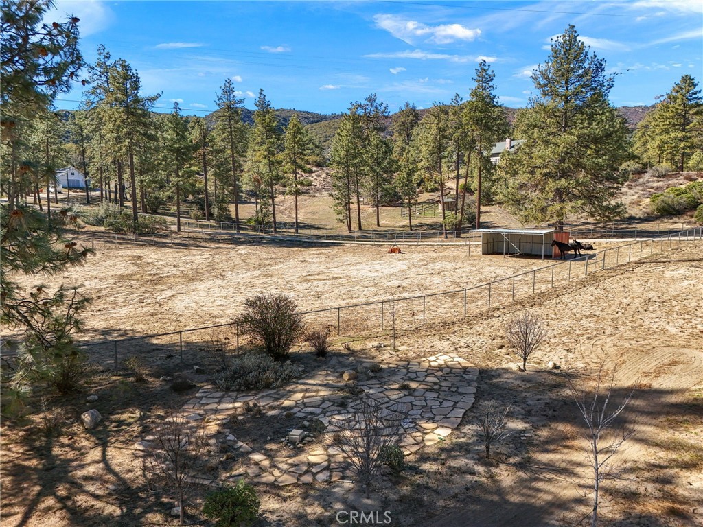 59331 Devils Ladder Road Mountain Center, CA 92561 - Photo 60 of 74 a view of a yard with snow on the road