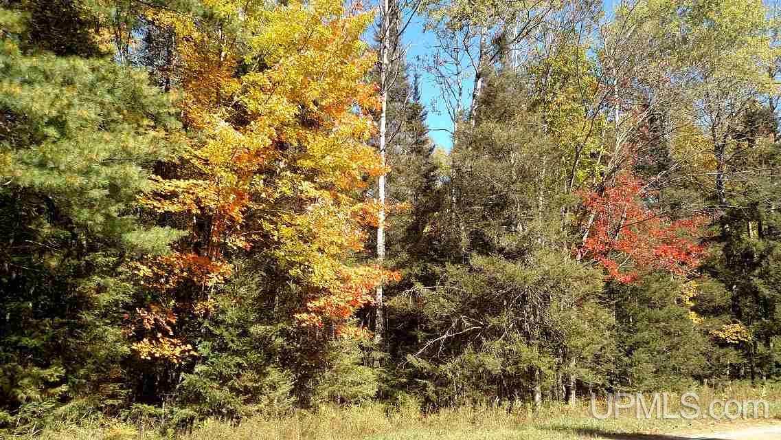 Tbd Us2 Florence, WI 54121 - Photo 1 of 1