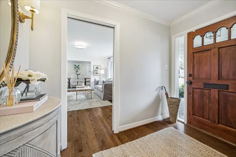 a view of a yard with plants and a large tree