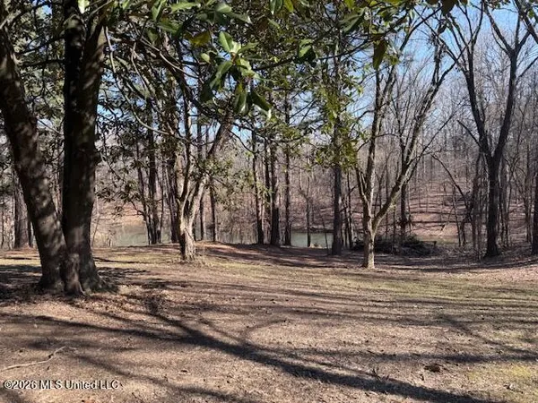 $589,900 | 9120 Old Highway 61, Walls, MS 38680