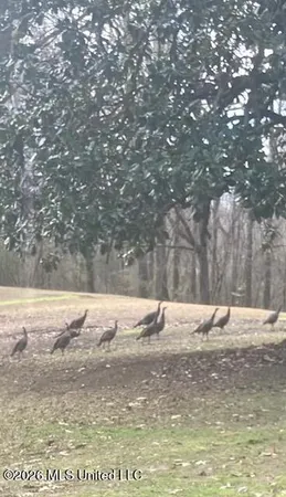 $589,900 | 9120 Old Highway 61, Walls, MS 38680