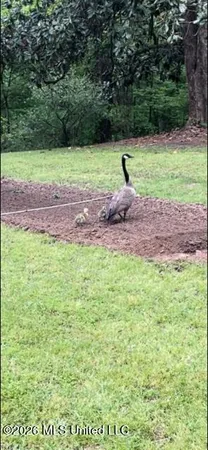 $589,900 | 9120 Old Highway 61, Walls, MS 38680