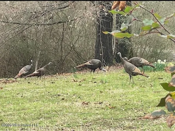 $589,900 | 9120 Old Highway 61, Walls, MS 38680