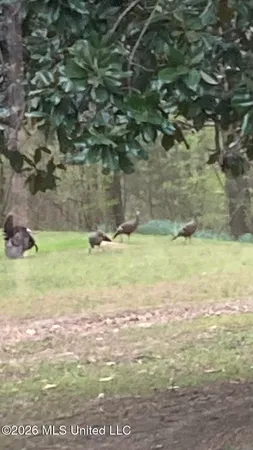 $589,900 | 9120 Old Highway 61, Walls, MS 38680