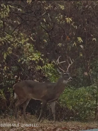 $589,900 | 9120 Old Highway 61, Walls, MS 38680