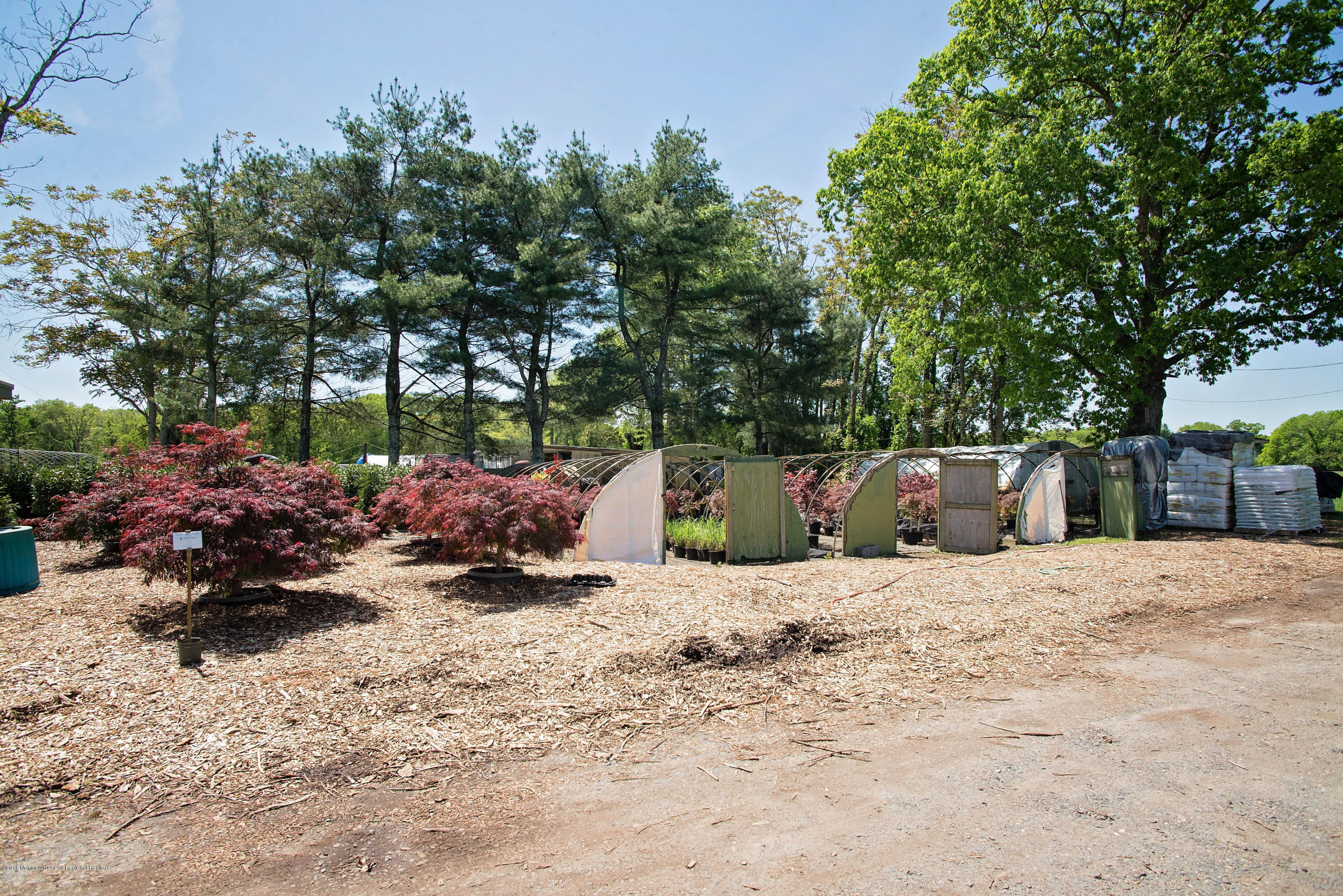 72 Herbertsville Road Howell, NJ 07731 - Photo 12 of 63 _RMJ6207.jpg green house