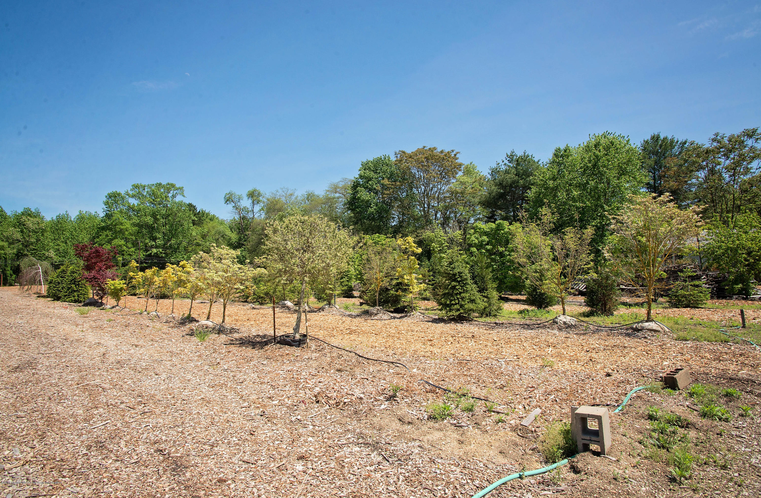 72 Herbertsville Road Howell, NJ 07731 - Photo 20 of 63 _RMJ6216.jpg land