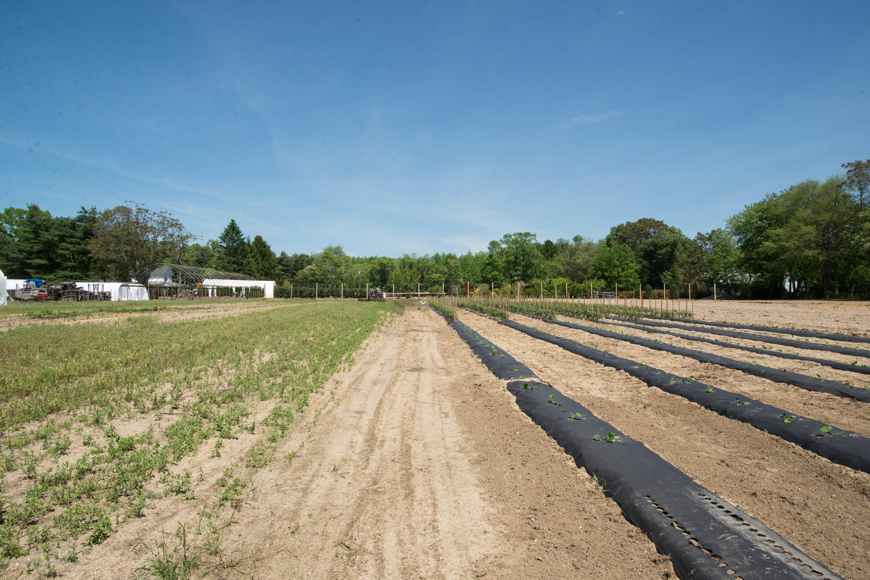 72 Herbertsville Road Howell, NJ 07731 - Photo 25 of 63 _RMJ6222.jpg crops