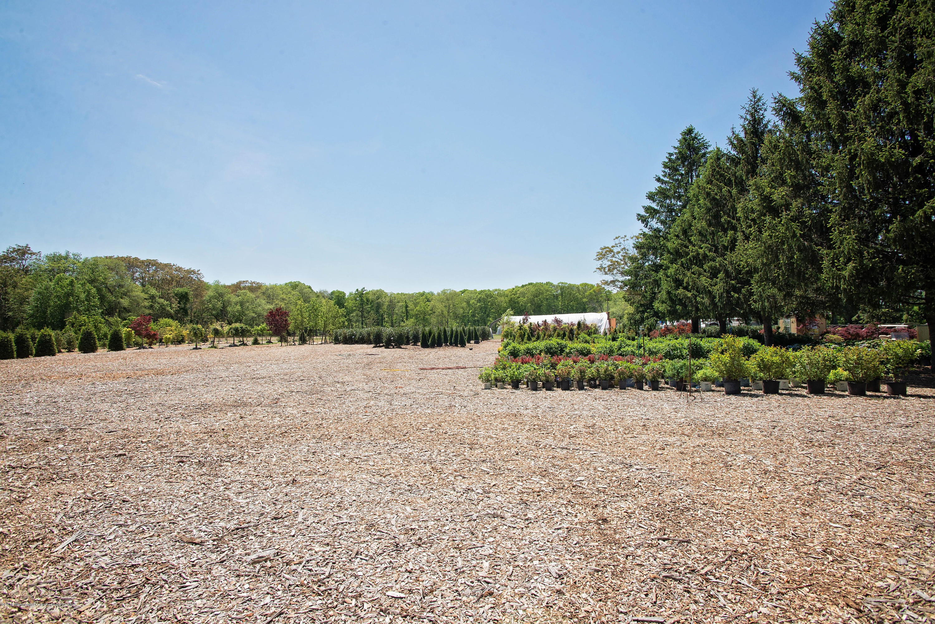72 Herbertsville Road Howell, NJ 07731 - Photo 7 of 63 _RMJ6196.jpg land